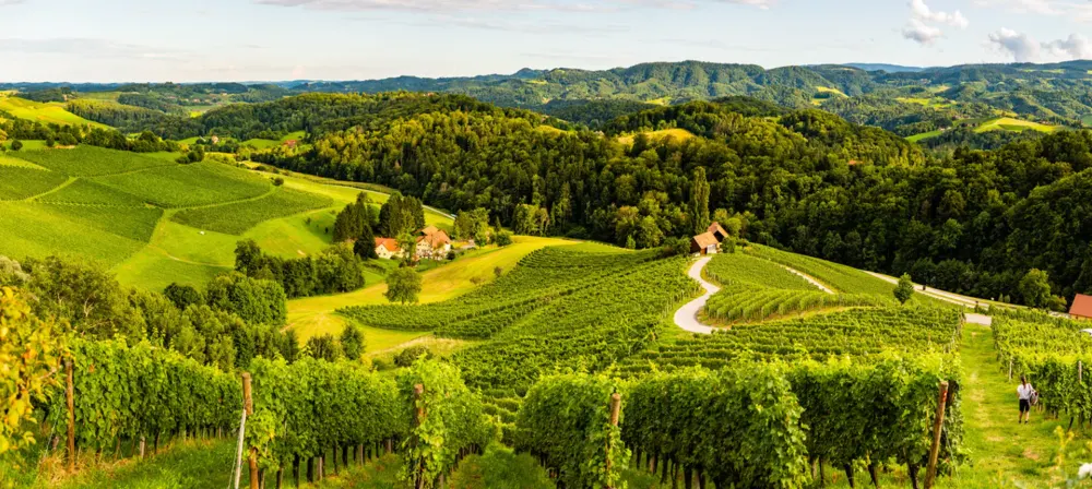 Wide Styrian landscape
